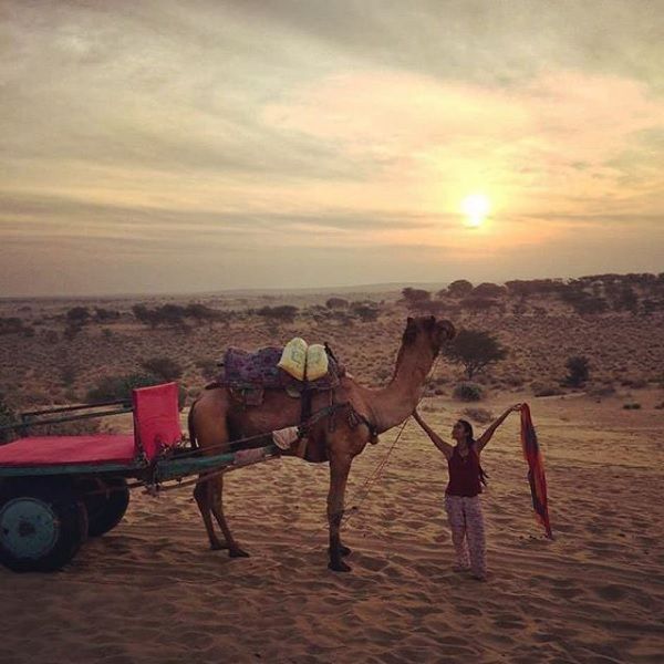 Camel cart safari